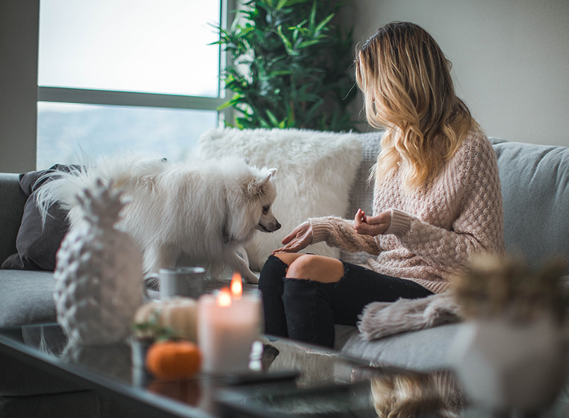 Young woman reaching out to a small dog